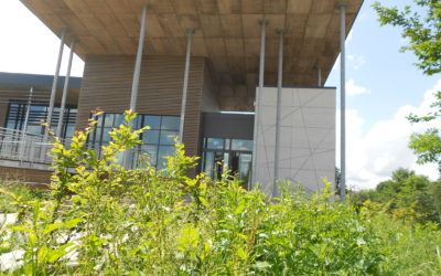 Piscine : le Virtonnais est-il optimiste?