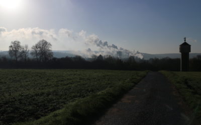 Pour en finir avec les odeurs de la cellulose?