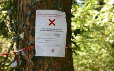 Le cochon gaumais, solidarité !