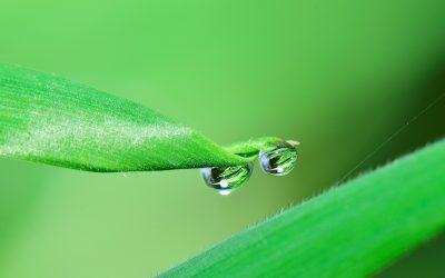 Prix de l’eau, une inévitable augmentation…