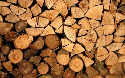 PPA : Reprise de l’exploitation du bois de chauffage et allègement des mesures!