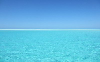 « Ici commence la mer… »